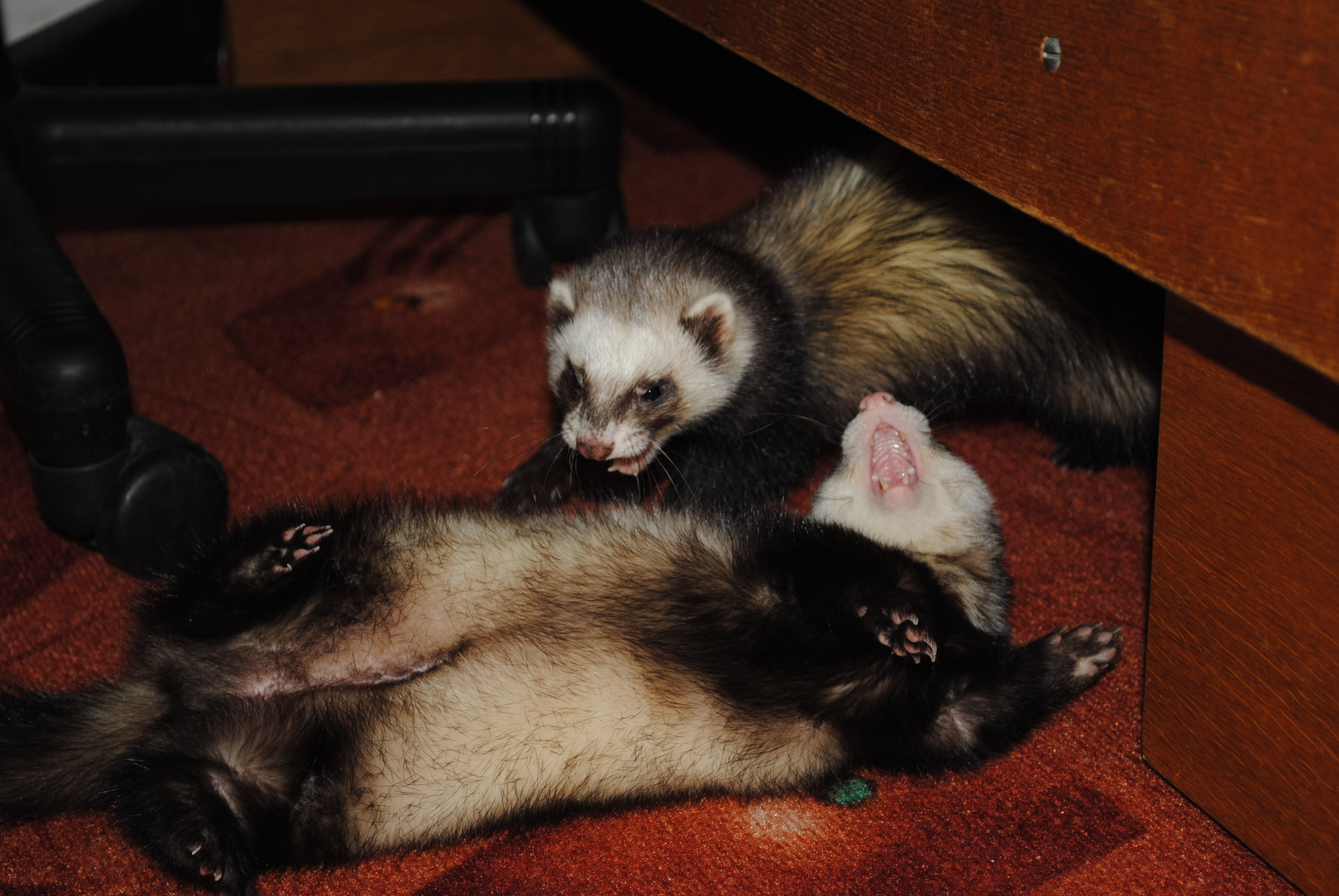 DSC_0150.JPG
